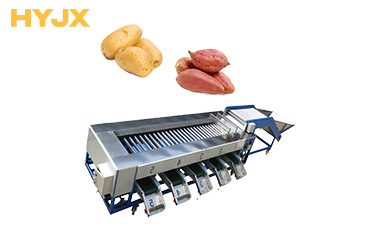Fruit and vegetable sorting machine