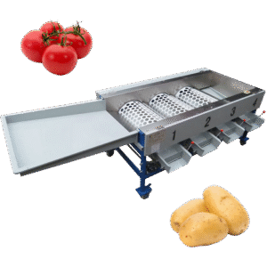 Tomato sorting machine